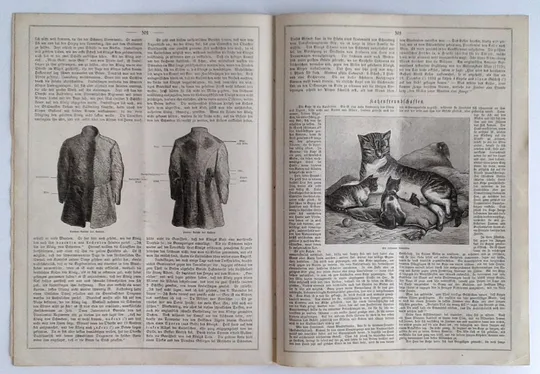 Журнал Daheim №34 травень 1866 року Німеччина Fv8.6 Продаж