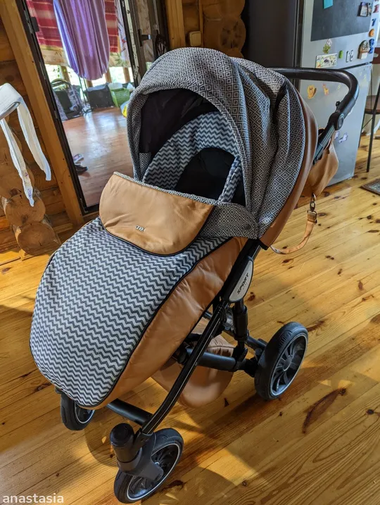 Коляска Anex Sport 2 в 1 в Україні