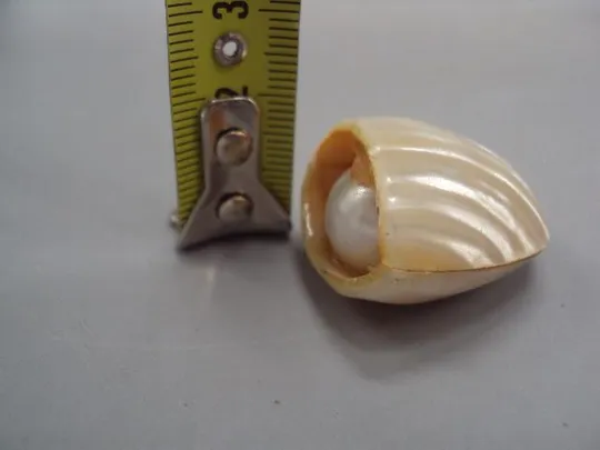 Купити Фигура деталь миниатюра перламутр ракушка, имитация жемчуга размер 3 х 1,7 см, вес 13,02 г №15067