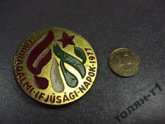 знак пионерский лагерь венгрия forradalmi ifjusagi napok 1977 №10666 З аукціону