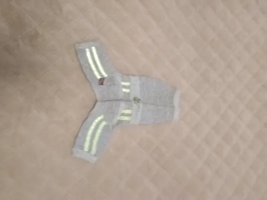 одежа для міні цуценя З аукціону