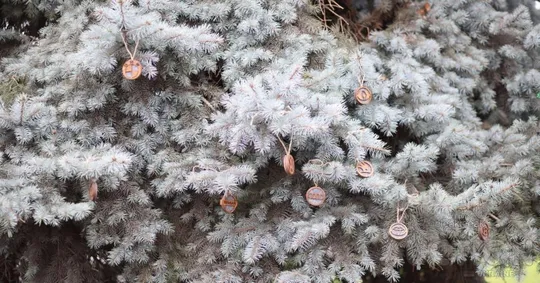 Автомобільний освіжувач повітря з парфумованою олією з логотипом ercedes Де купити