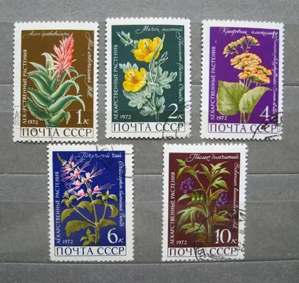 фото, ЛЕКАРСТВЕННЫЕ РАСТЕНИЯ = 1972 р. = гаш.