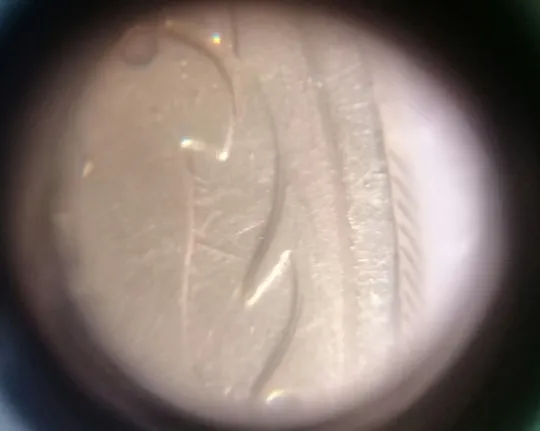 (2462) 50 копійок 1992 2.2ААм наплив металу біля канту + зминання - 8 монет одним лотом (50 копеек 1992 2.2ААм брак) Недорого