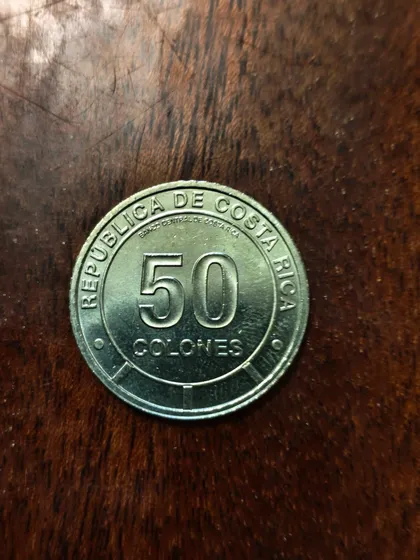 фото, Коста-Ріка 50 колонів 2023 Фауна екосистеми - Тропічний хмарний ліс. Червоноока деревна жаба