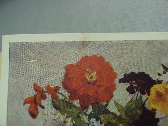 Купити открытка розы цветы 1963 склейка на одном листе 2 шт №12463