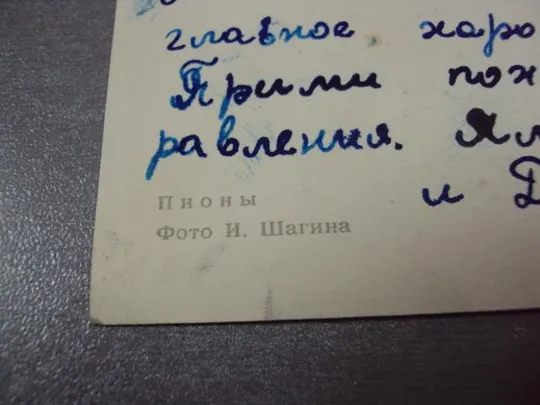 открытка пионы 1965 шагина №10959 Продаж