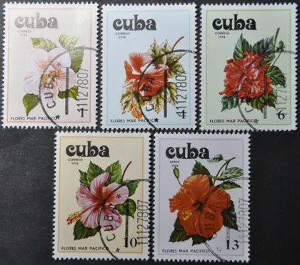 фото, Куба Флора Цветы 1978