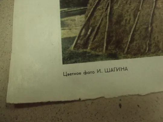 литографии  макаров ленин, шагин близ станции разлив №8342 Недорого