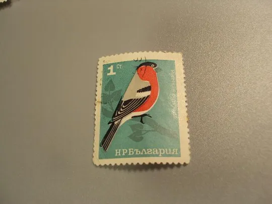 марка Болгария 1965 фауна птичка птица гаш №1645 Ціна