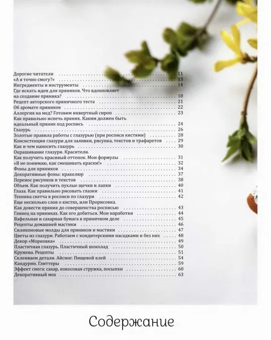 Купити 🍽️ Пряничная сказка Технологии, тонкости работы с пряничным тестом и уникальные эффекты декора от мастера (Пивоварова Н) PDF и DJVU
