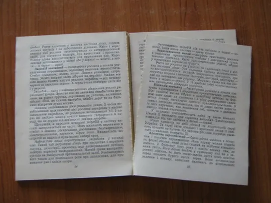 Лісова скринька. Де купити