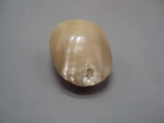 Фигура деталь миниатюра перламутр ракушка, имитация жемчуга размер 3 х 1,7 см, вес 13,02 г №15067 Продаж