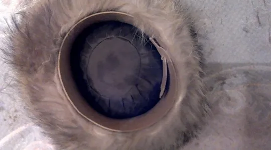 Шапка женская чернобурка Продаж