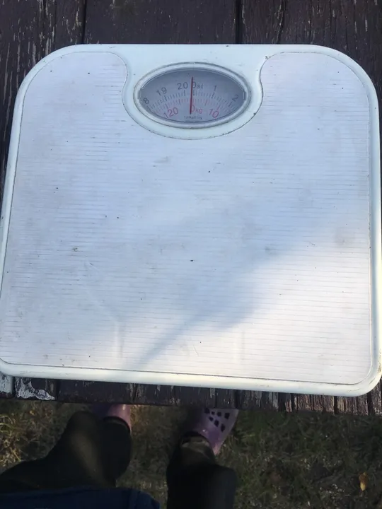 Купити Ваги механічні надійні , можно важити ящики , сітки картоплі , то-що.