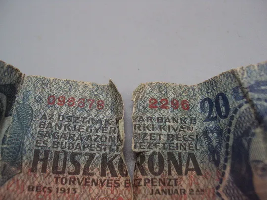 Банкнота Австро-Венгрия 20 крон 1913 год 096678 2296 №15988 Торговий майданчик
