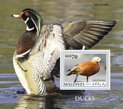 фото, Мальдивы - Утки -2019.Чистый полный красивый комплект. MNH.