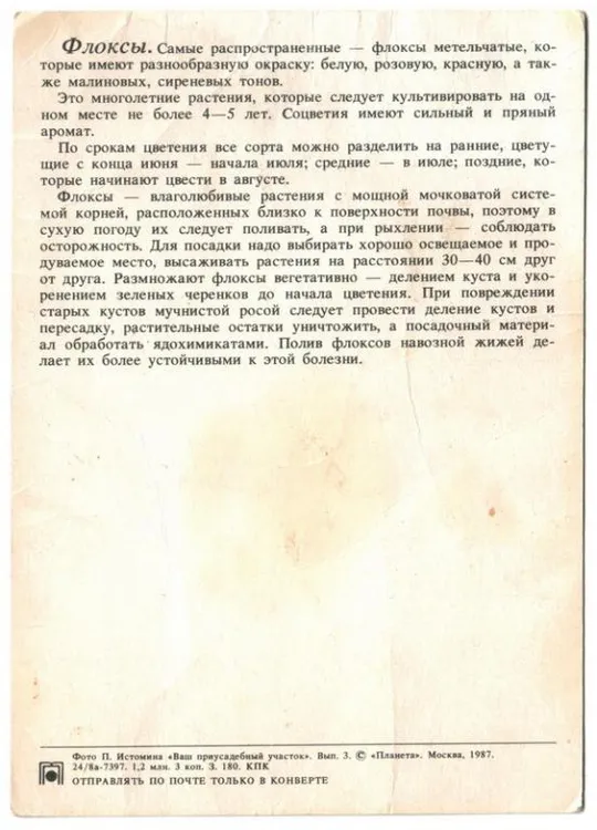 Купити Флоксы