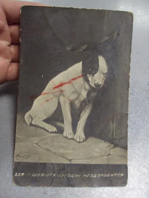 Купити открытка сегодня не здоровится, винница 1911 №1390