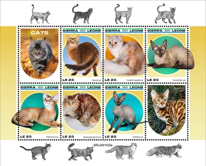 фото, Сьерра Леоне - Кошки -2024.Чистый полный красивый комплект.MNH