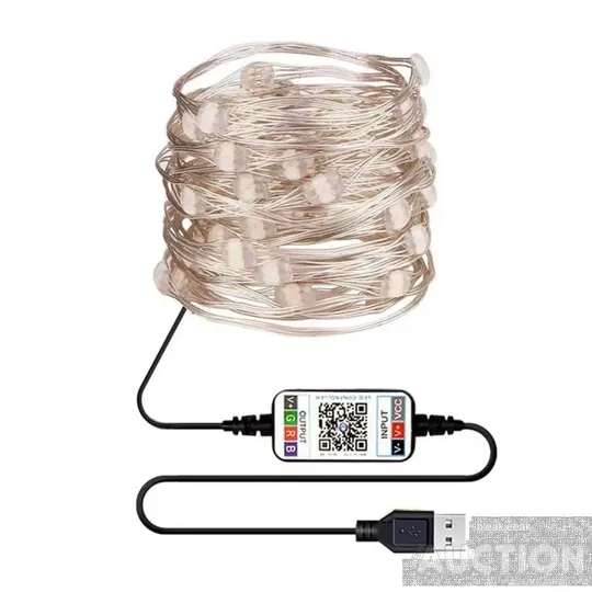 Розумна світлодіодна Bluetooth гірлянда Encora Xmas Lights 100LED 5 м Де купити