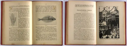 Бельведер Календар Gartenlaube-Kalender 1897 рік Характеристики