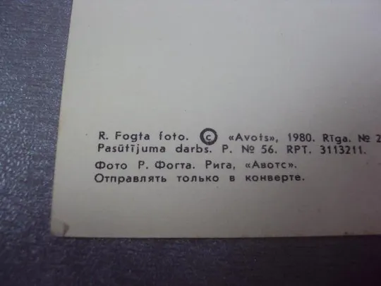 открытка фазан 1980 фогта рига №342 Продаж