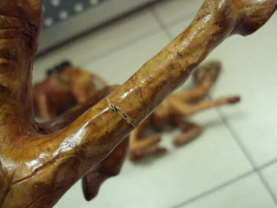 Фигура кожа верблюд сидячий и стоячий верблюды лот 3 шт №11009 Де купити