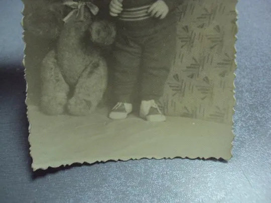 фотография дети мальчик с медведем опилки №5325 Де купити