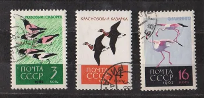 фото, ПТАХИ - ПТИЦЫ = 1962 р. = СССР - СРСР = гаш. ==