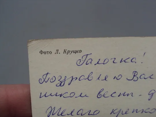 Открытка 8 марта цветы тюльпаны и нарциссы фото Л. Круцко 1983 год №17913 Продаж