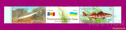 фото, ** УКРАИНА 2007 N852-853 сцепка Фауна Украина-Молдавия рыбы