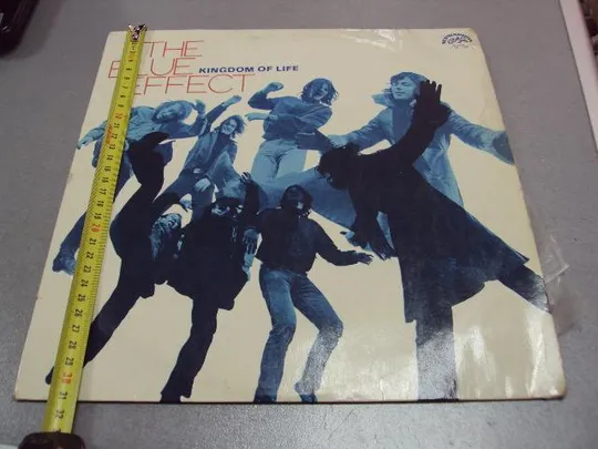 пластинка the blue effect kingdom of life №11603 Ціна