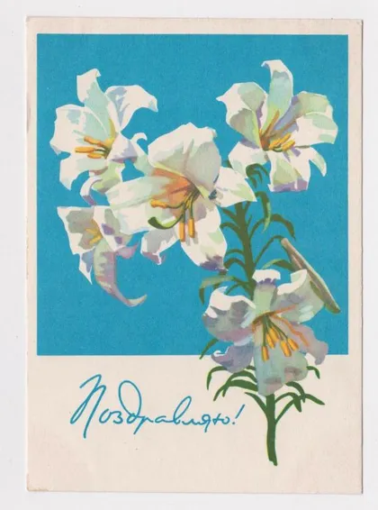 фото, ПОЗДРАВЛЯЮ = 1962 г. = СТЕПАНОВА = чистая #