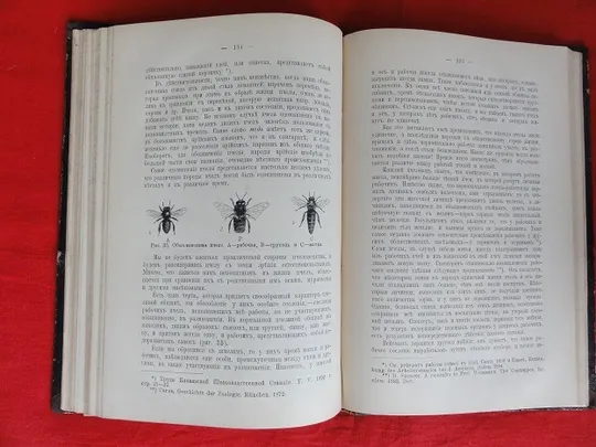 Популярні біологічні нариси. В. Шимкевич. 1898р. Характеристики