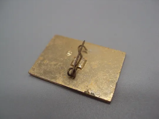 Знак 50 лет Черниговщина колос Ленин портрет гвоздика Чернігівщина ссср №17506 Де купити