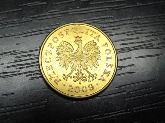 Купити 5 грошей 2009 Польща