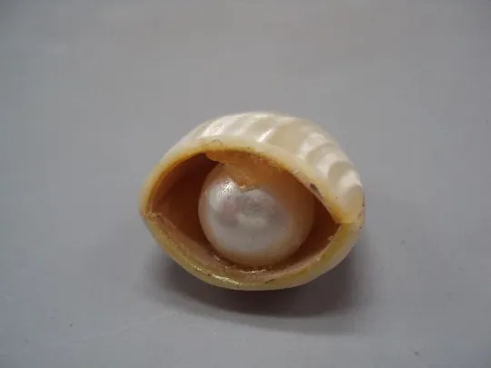Фигура деталь миниатюра перламутр ракушка, имитация жемчуга размер 3 х 1,7 см, вес 13,02 г №15067 З аукціону
