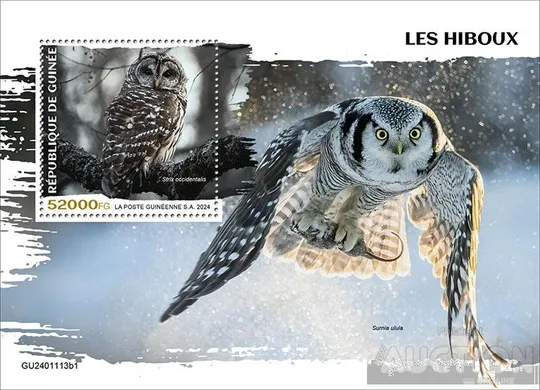 Купити Гвинея -Птицы - Совы -2024. Чистый полный красивый комплект. MNH.