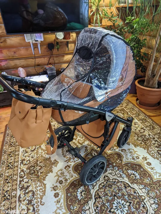 Коляска Anex Sport 2 в 1 Де купити