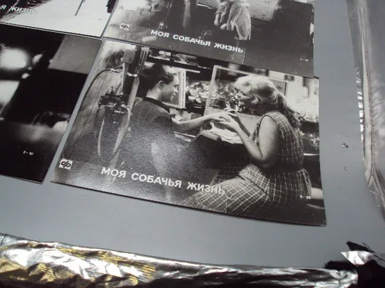 Кадр из фильма Моя собачья жизнь 1, 2, 3, 4, 5, 6 - 92 фотография 23,7х18,3 см лот 6 шт №18352МЯ На торгах