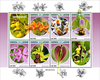 фото, Сьерра Леоне - Орхидеи -2024.Чистый полный красивый комплект.MNH