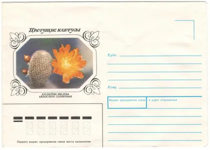фото, Цветущие кактусы Айлостера Солнечная. ХНК. 1983 рік. СРСР