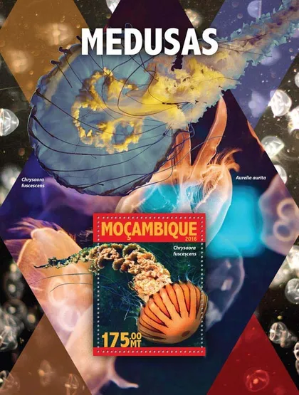 фото, Мозамбик-Медуза-2016. Чистый полный красивый комплект.MNH.