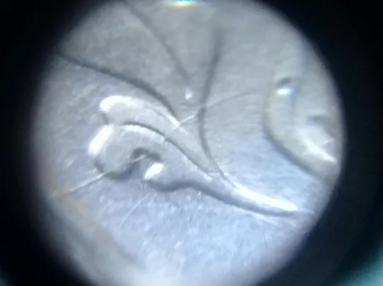 Купити (3231) 5 копійок 1992 розкол на аверсі від канту через лівий нижній листок (5 копеек 1992 брак)