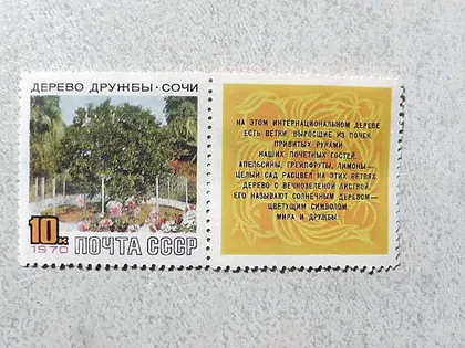 фото, Поштова марка з Купоном СССР " Дерево дружби в Сочі " 1970 рік **