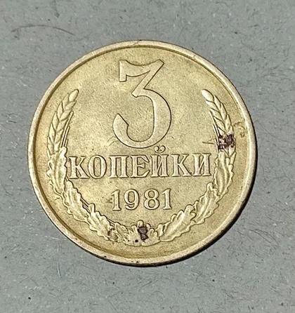 фото, СССР 3 копейки 1981 г.