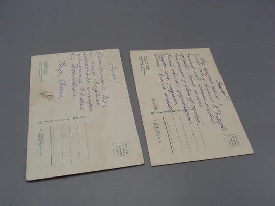 Открытка цветы в вазе Азалия и верба композиция Н. Минченко фото Р. Якименка 1976 г лот 2 шт №18013 Інтернет-аукціон