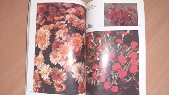 Книга Сорти квіткових і декоративних культур, З аукціону