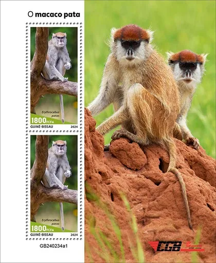 фото, Гвинея Бисау-Обезьяна Патас-2024. Чистый полный комплект.MNH.